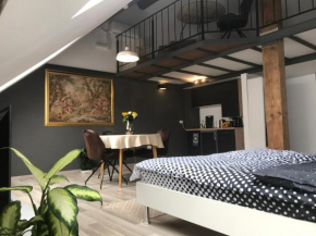 NEW amazing Loft Studio Savoya nr2 Self check-in old city center